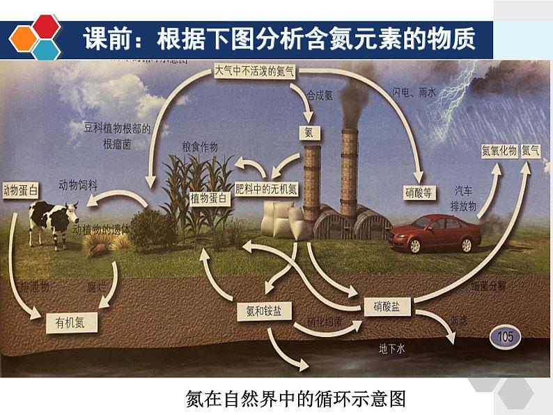 第五章 第二节 氮及其化合物课件PPT第5页