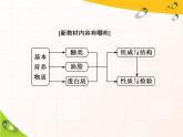 《第四节 基本营养物质》精品说课课件ppt