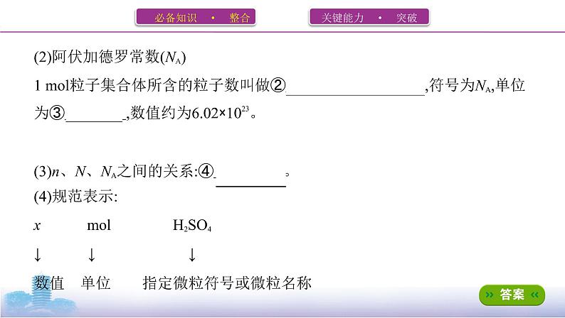 第1讲　物质的量　气体摩尔体积课件PPT第3页