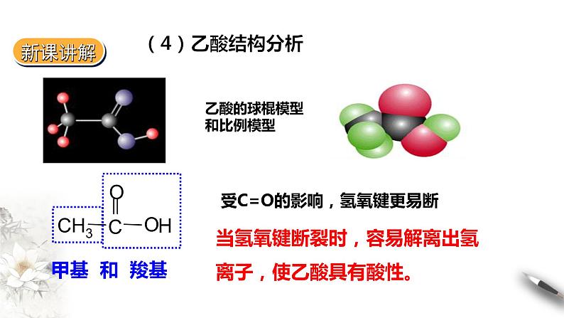 第三节乙醇和乙酸第二课时乙酸第7页