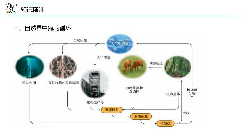 第03讲 氮气、一氧化氮、二氧化氮（PPT课件）-【精准提分】2020-2021学年高一化学必修第二册同步培优第6页