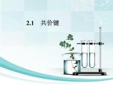 2.1 共价键课件PPT