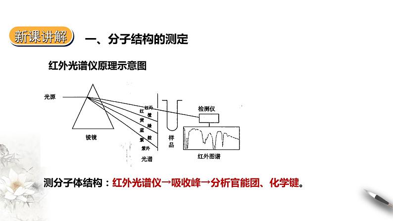 2.2.1  分子的空间结构 第一课时  课件PPT06