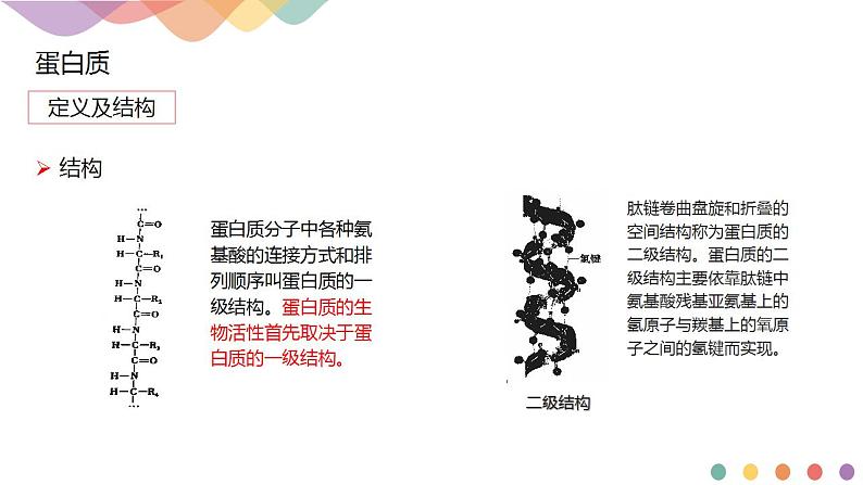 4.2.2 蛋白质 酶-课件-2020-2021学年下学期高二化学同步精品课堂(新教材人教版选择性必修3)共13张PPT05