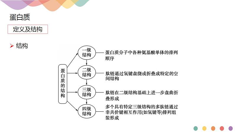 4.2.2 蛋白质 酶-课件-2020-2021学年下学期高二化学同步精品课堂(新教材人教版选择性必修3)共13张PPT07