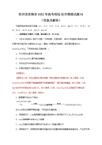 贵州省贵阳市2022年高考理综 化学模拟试题 01（含答案及解析）