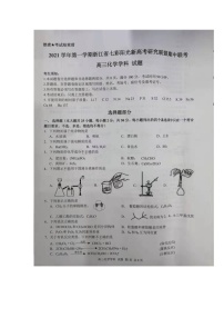 浙江省七彩阳光新高考研究联盟2021-2022学年高三上学期期中化学试题