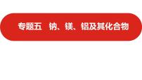 新高考版高中化学二轮复习  专题五  钠、镁、铝及其化合物  课件