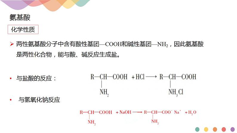 4.2.1 氨基酸-课件-2020-2021学年下学期高二化学同步精品课堂(新教材人教版选择性必修3)(共13张PPT)06