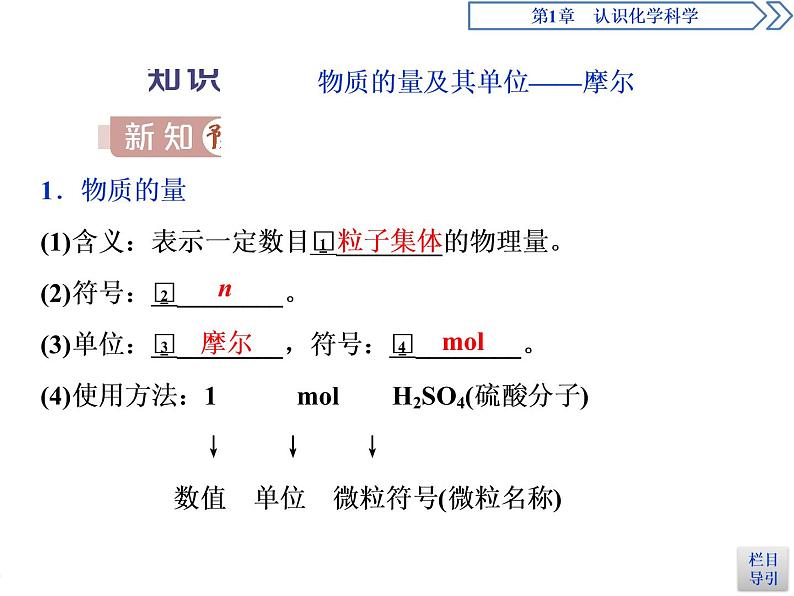 1-3.1 物质的量及其单位——摩尔　摩尔质量课件PPT03