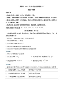 陕西省咸阳市2021届高三上学期高考模拟检测（一）化学试题