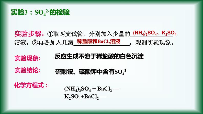 1.2 离子检验（第三课时） 课件【新教材】人教版（2019）高中化学必修第一册08