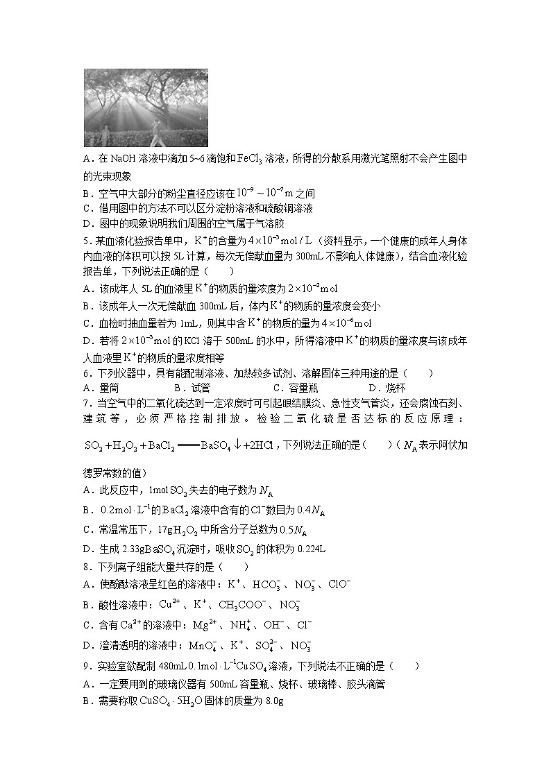 湖南省2021-2022学年高一11月期中联考化学试题02