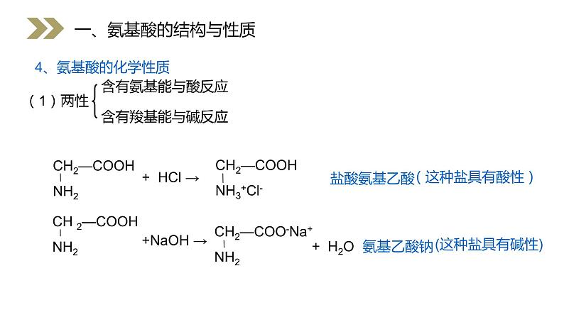 《蛋白质和核酸》人教版高二化学选修五PPT课件（第4.3课时）07