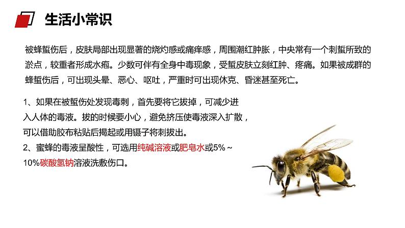 《盐类的水解》人教版高二化学选修4PPT课件第3页