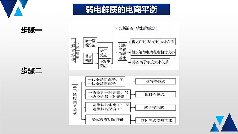 10 回归溶液中的离子平衡课件PPT第2页