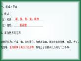 8.2.5   蛋白质和氨基酸课件苏教版2019必修二