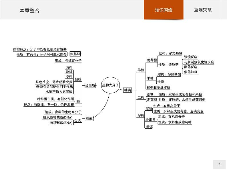 第四章 生物大分子 本章整合课件（19张ppt）+练习（含解析）02