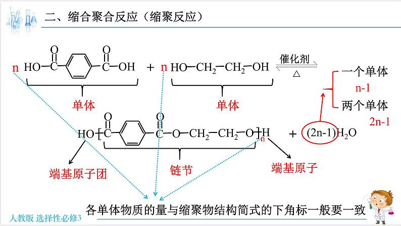 5.1.2 合成高分子的基本方法-缩聚反应【新教材】人教版选择性必修3课件PPT第5页