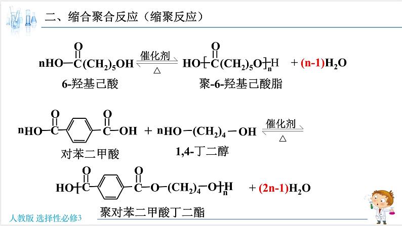 5.1.2 合成高分子的基本方法-缩聚反应【新教材】人教版选择性必修3课件PPT第6页