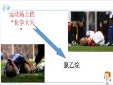 3.1 卤代烃【新教材】人教版选择性必修3课件PPT