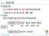 3.1 卤代烃【新教材】人教版选择性必修3课件PPT