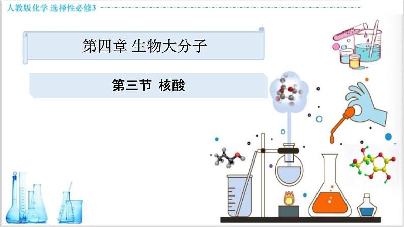 4.3 核酸【新教材】人教版选择性必修3课件PPT01