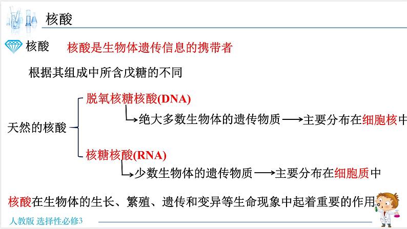4.3 核酸【新教材】人教版选择性必修3课件PPT02