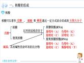 4.3 核酸【新教材】人教版选择性必修3课件PPT