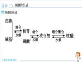 4.3 核酸【新教材】人教版选择性必修3课件PPT