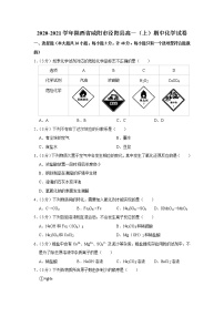 2020-2021学年陕西省咸阳市泾阳县高一（上）期中化学试卷