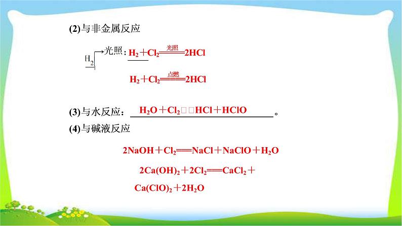 人教版高考化学二轮总复习富集在海水中的元素卤素及提取卤素单质的化工流程完美课件PPT第5页