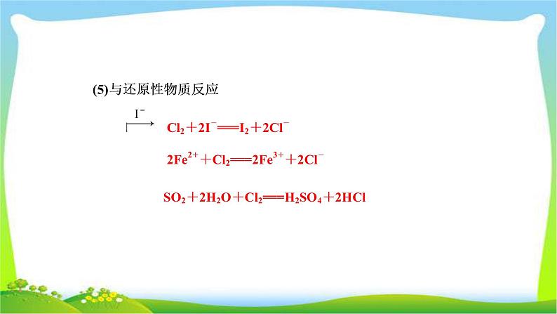 人教版高考化学二轮总复习富集在海水中的元素卤素及提取卤素单质的化工流程完美课件PPT第6页