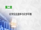 人教版 (2019)高中化学选择性必修1 第2章 第2节 化学平衡 第2课时课件PPT