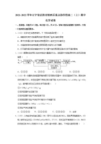 2021-2022学年辽宁省沈阳市铁西区重点协作校高二（上）期中化学试卷