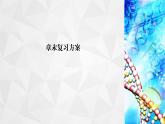 人教版 (2019)高中化学选择性必修1 第二章  章末复习方案课件PPT