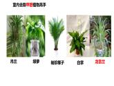 2021-2022学年高二化学人教版（2019）选择性必修3第三章第三节醛酮课件