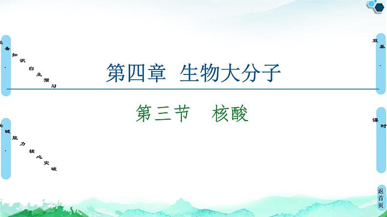 第4章  第3节　核酸 课件 人教版（2019）高中化学选择性必修3第1页