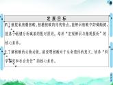 第4章  第3节　核酸 课件 人教版（2019）高中化学选择性必修3