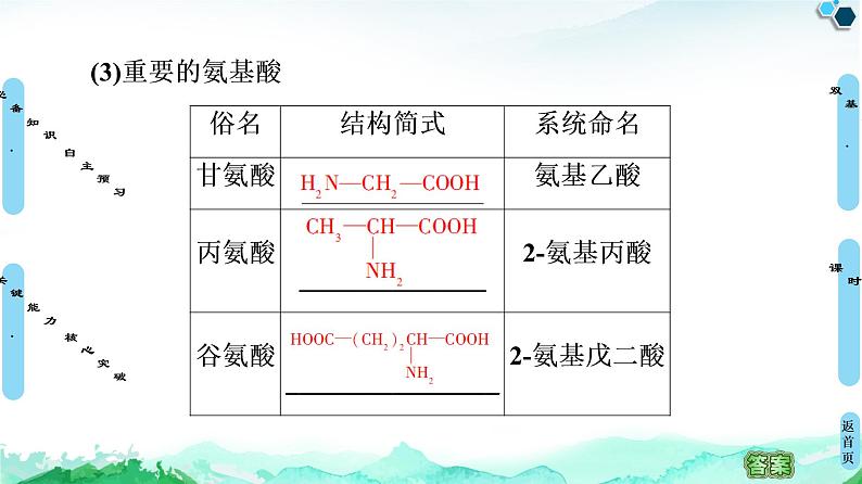 第4章  第2节　蛋白质 课件 人教版（2019）高中化学选择性必修307