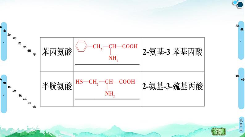 第4章  第2节　蛋白质 课件 人教版（2019）高中化学选择性必修308