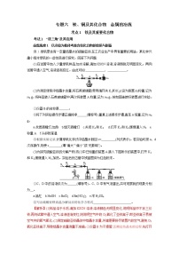 专题六　铁、铜及其化合物　金属的冶炼-2022年高考化学一轮复习对点讲解与练习（通用版）学案