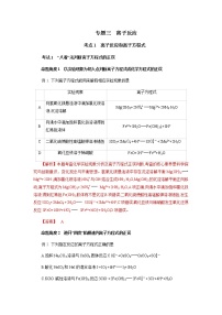 专题三　离子反应-2022年高考化学一轮复习对点讲解与练习（通用版）学案