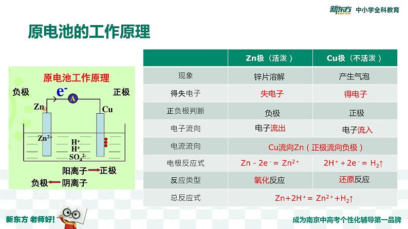 原电池(1) 副本课件PPT第4页