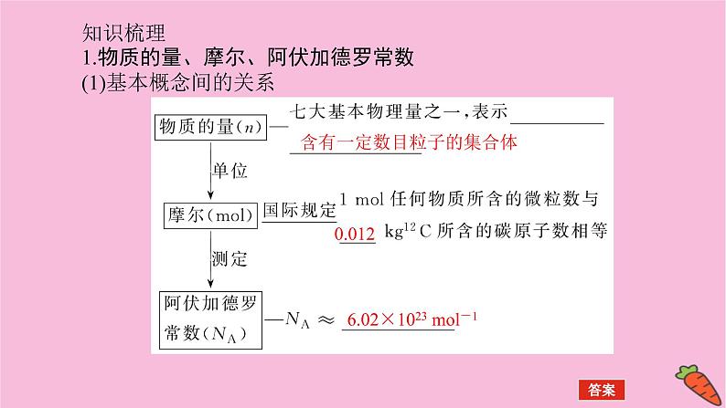 新教材2022届新高考化学人教版一轮课件：1.1 物质的量　气体摩尔体积第4页