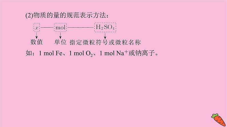 新教材2022届新高考化学人教版一轮课件：1.1 物质的量　气体摩尔体积第5页