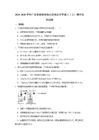 2019-2020学年广东省深圳市南山区南头中学高三（上）期中化学试卷