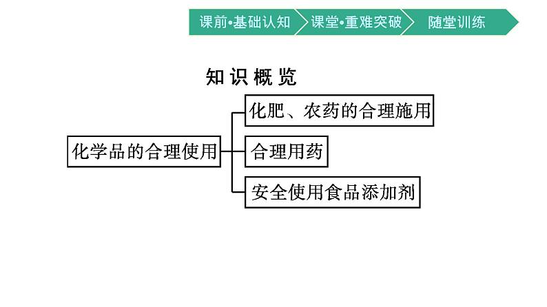 2021年高中化学新人教版必修第二册 第八章第二节 化学品的合理使用 课件（52张）第3页