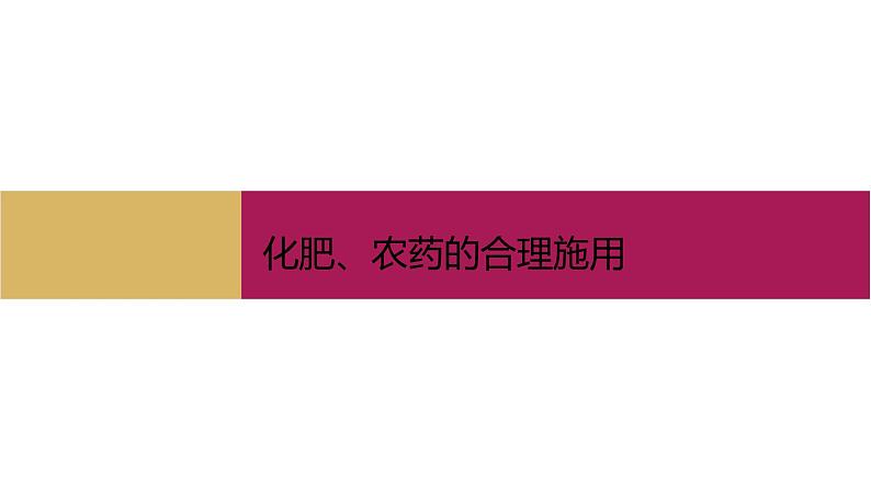 2021年高中化学新人教版必修第二册 第八章第二节 化学品的合理使用 课件（31张）第6页