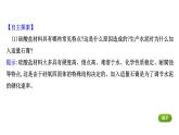 2020-2021学年高中化学新人教版必修第二册 第5章第3节无机非金属材料课件（31张）